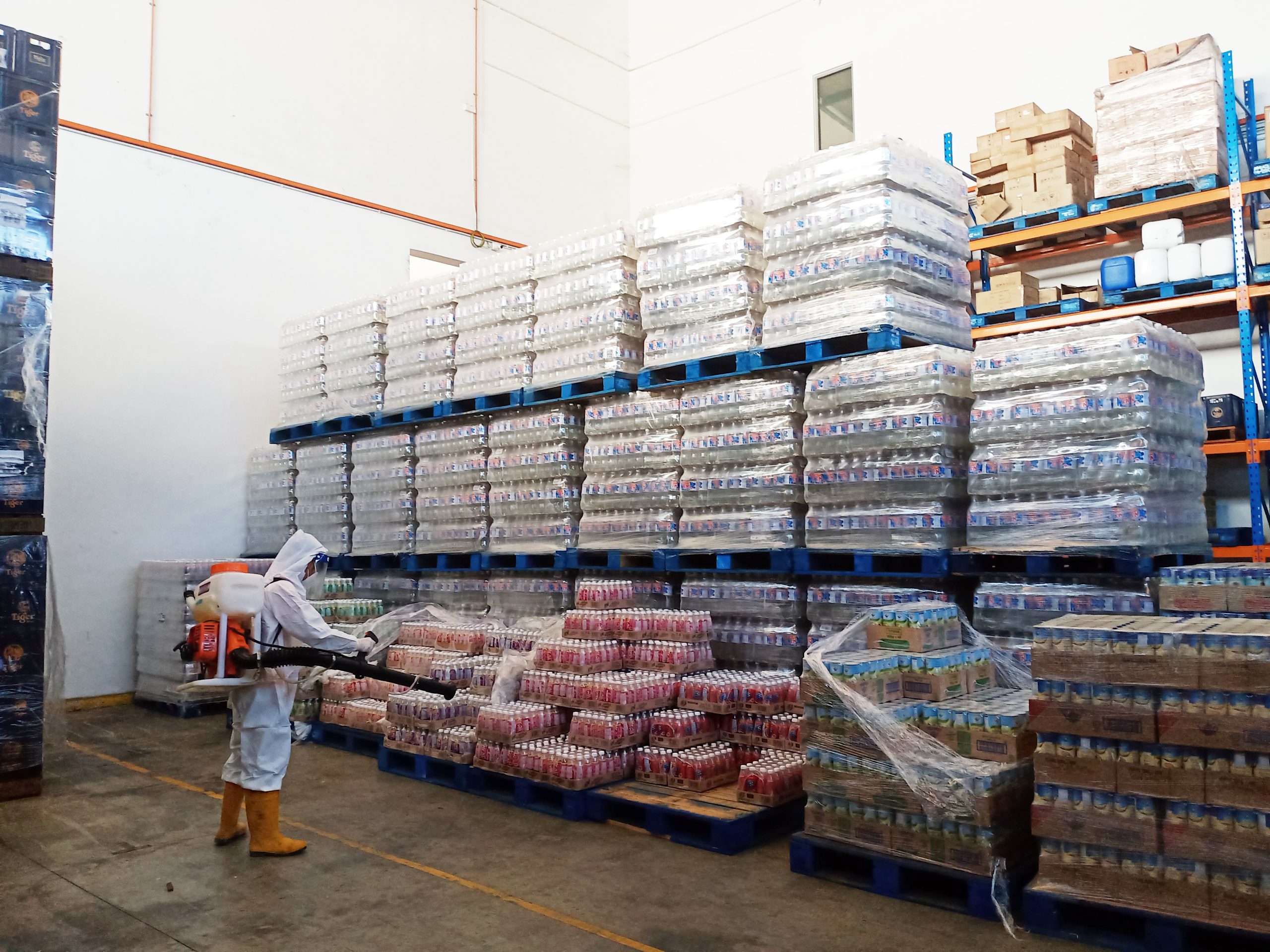 Warehouse Pest Management Services
