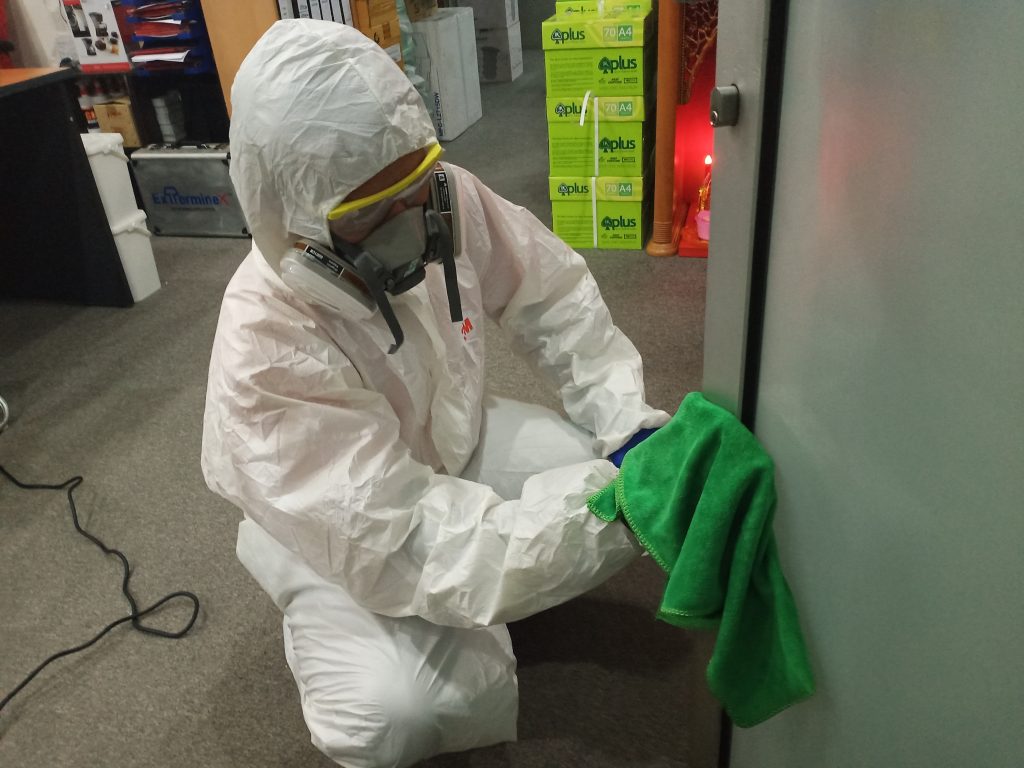 anti termite treatment