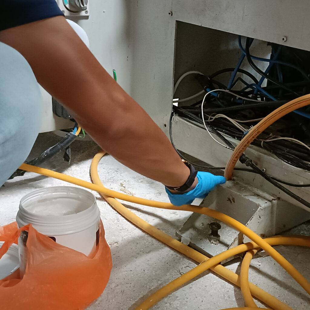 pest control commercial