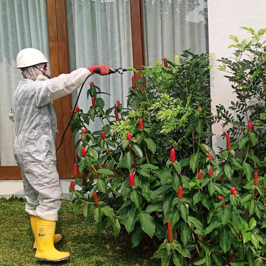 pest control selangor