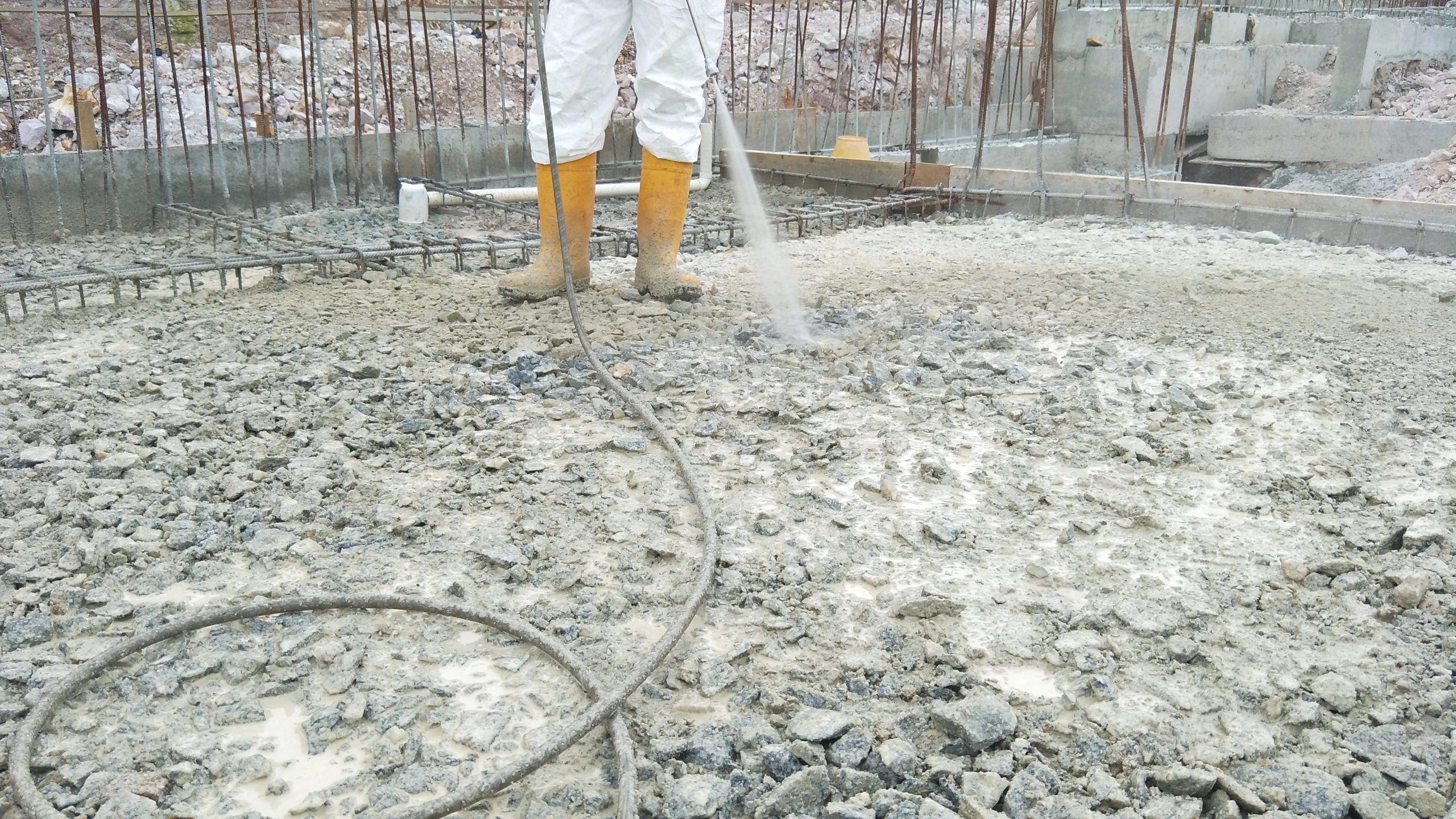 pest control services